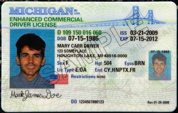 Michigan driver's license