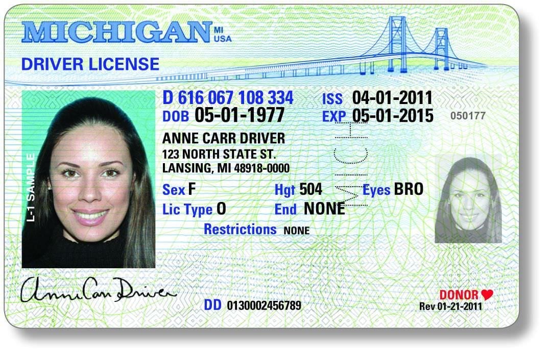 Michigan driver's license 2011