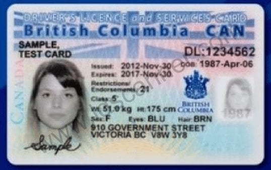 British Columbia Drivers License - Front 2013
