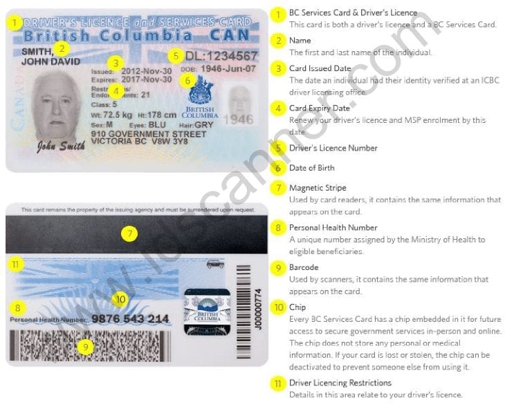 British Columbia Drivers License Features