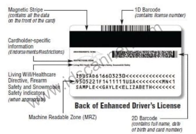 MN Enhanced Drivers License Back