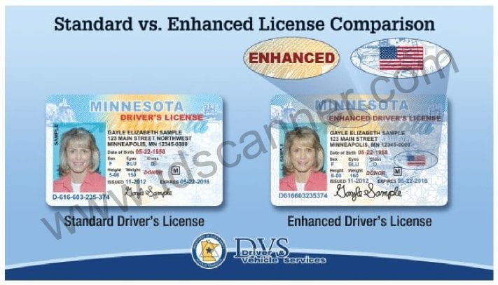 MN Standard vs Enhanced License Comparison