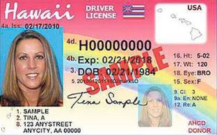 Hawaii License (Regular)