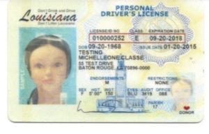 2015 New Driver's License