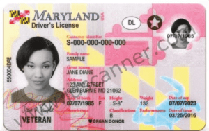 New Maryland Driver License 2016