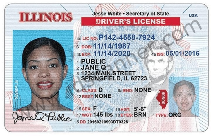 IL Secure Driver License