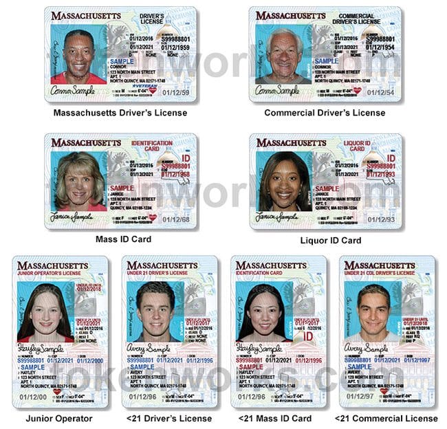 Voter ID, Massachusetts driver's license photos from Massac…