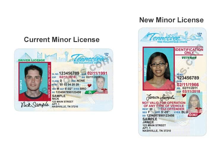 New Tennessee driver's license for minors
