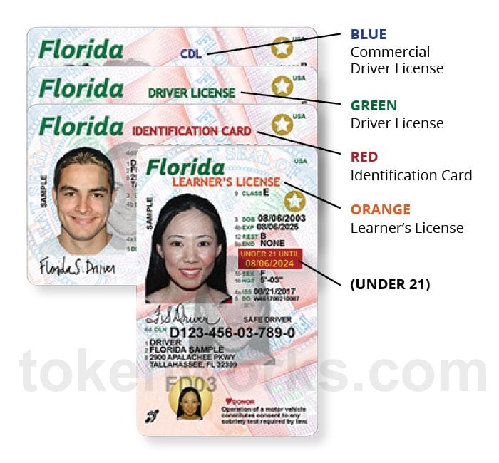Multicolor Headers Florida Driver's License Design