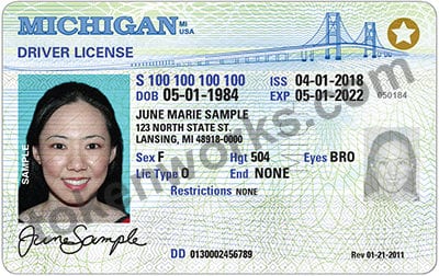 REAL ID-compliant Michigan Driver's License