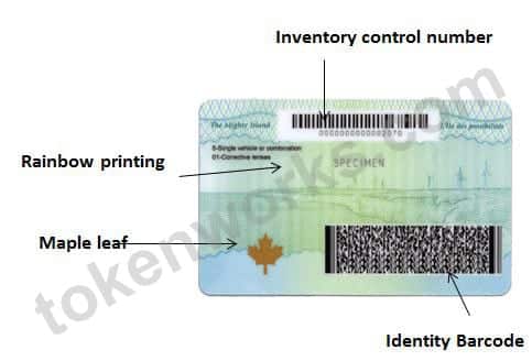 New Prince Edward Island Driver's License - Back View