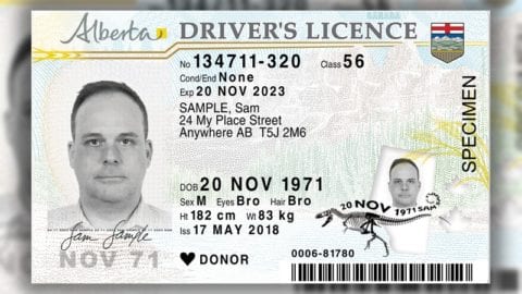 where to get alberta id in edmonton