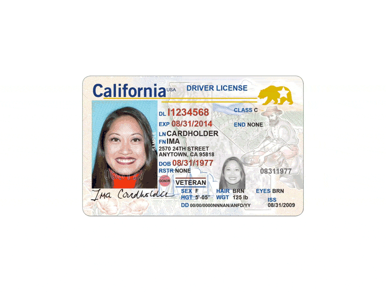 Visual demonstration of IDentiFake multiple forensic checks performed on driver license