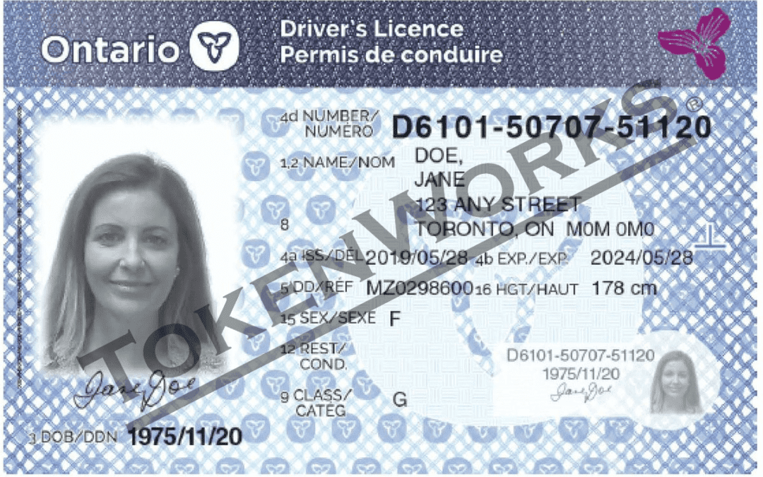 Ontario driver licence number generates