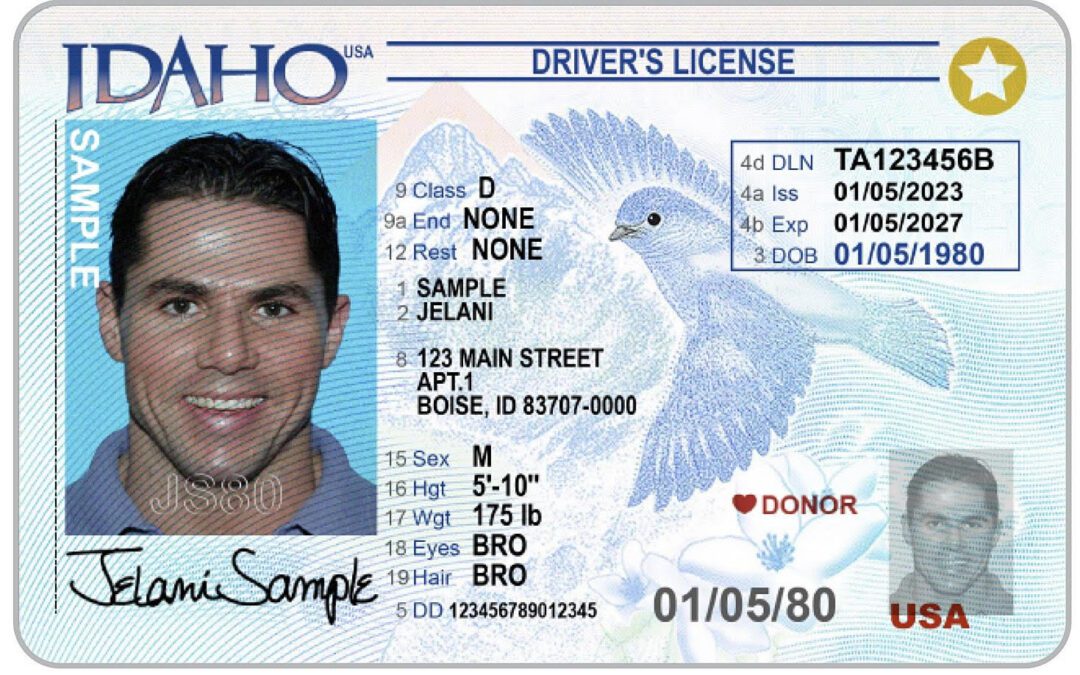 Idaho drivers license