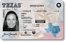 Texas sample state ID image