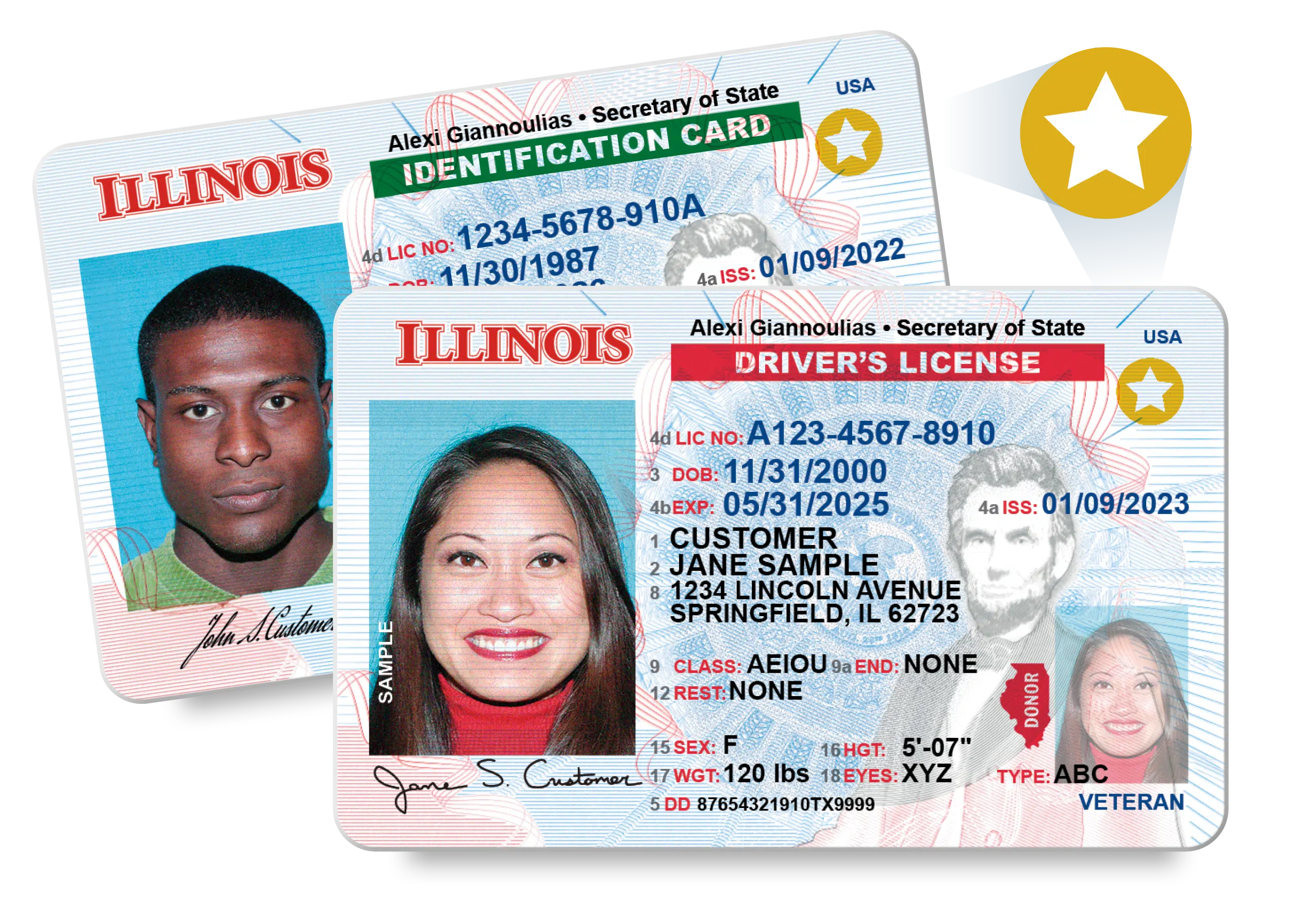 Illinoise Drivers License state ID Sample